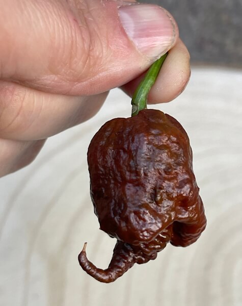 Hook Pepper